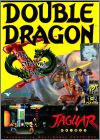 Double Dragon 5 (V) - The Shadow Falls