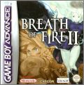 Breath of Fire 2 (Breath of Fire II - Shimei no Ko)