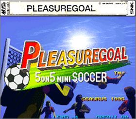 PleasureGoal - 5 on 5 Mini Soccer (Futsal)