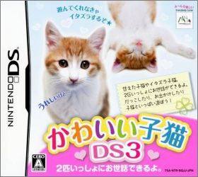 Kawaii Koneko DS 3