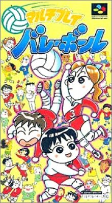 Multi Play Volleyball