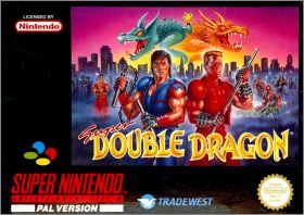 Super Double Dragon (Return of Double Dragon)