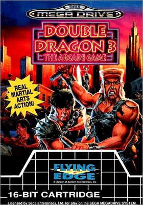 Double Dragon 3 (III) - The Arcade Game