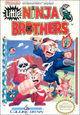 Little Ninja Brothers