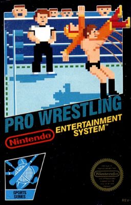 Pro Wrestling