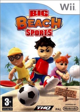 Big Beach Sports 1