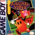 Amazing Tater (Puzzle Boy 2 II)