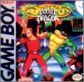 Battletoads & Double Dragon