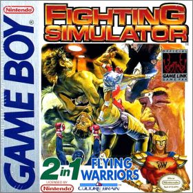 Fighting Simulator - 2 in 1 Flying Warriors (Hiryu no Ken..)