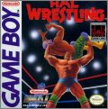 Hal Wrestling (Pro Wrestling)