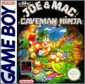 Joe & Mac - Caveman Ninja (Joe & Mac)