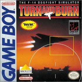 Turn and Burn - The F-14 Dogfight Simulator