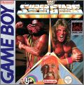 WWF Superstars 1
