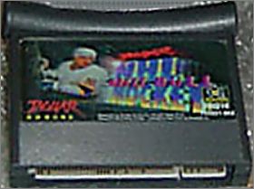 Brett Hull NHL Hockey