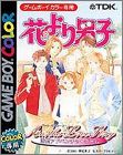 Hana Yori Dango - Another Love Story
