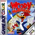 Woody Woodpecker - Escape from Buzz Buzzard's Park