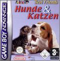 Best Friends - Hunde & Katzen
