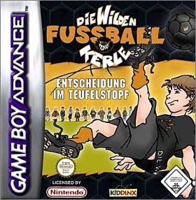 Die Wilden Fussball Kerle - Entscheidung im Teufelstopf