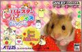 Hamster Paradise - Pure Heart