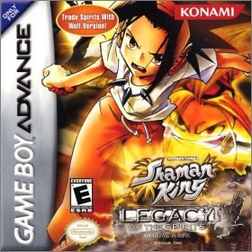 Shaman King - Legacy of the Spirits, Soaring Hawk (Shonen..)