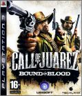 Call of Juarez - Bound in Blood