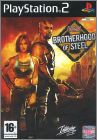 Fallout - Brotherhood of Steel