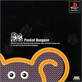 Pocket Dungeon