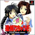 Taiho Shichauzo ! - You're Under Arrest