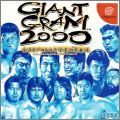 Giant Gram 2000 - All Japan ProWrestling 3 (II)