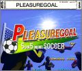 PleasureGoal - 5 on 5 Mini Soccer (Futsal)