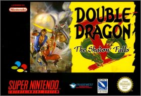 Double Dragon 5 (V) - The Shadow Falls