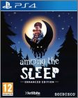 Among the Sleep