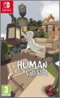 Human: Fall Flat