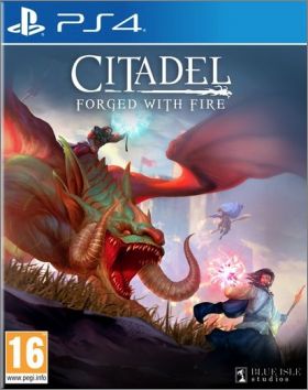 Citadel: Forged with Fire
