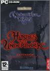 Neverwinter Nights: Hordes of the Underdark