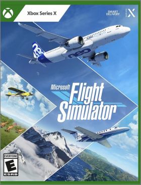Microsoft Flight Simulator