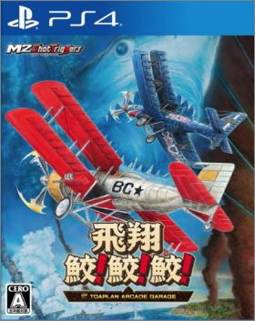 Toaplan Arcade Garage: Hishou Same! Same! Same!