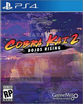 Cobra Kai 2: Dojos Rising