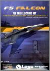 FS Falcon 2004