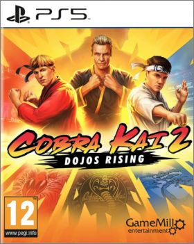 Cobra Kai 2: Dojos Rising