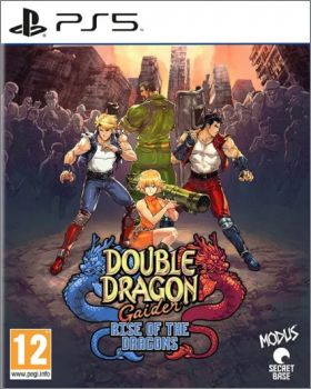 Double Dragon Gaiden: Rise of the Dragons