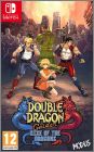 Double Dragon Gaiden: Rise of the Dragons