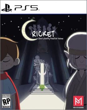 Cricket: Jae's Really Peculiar Game