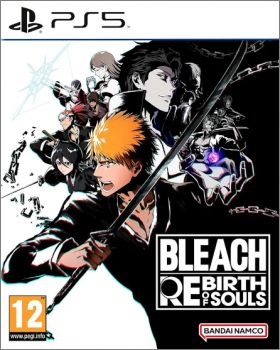 Bleach Rebirth of Souls