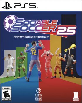 Sociable Soccer 25